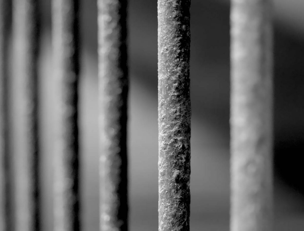 curso_master_derecho